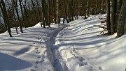 68 Bello il vialetto con la neve